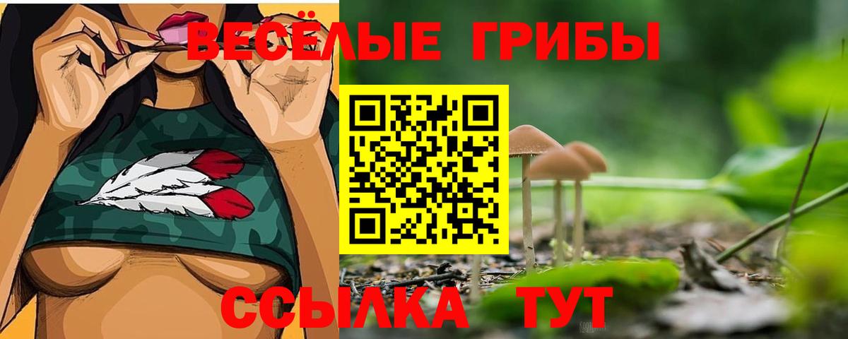 Галлюциногенные грибы мухоморы  Вход с VPN  Топки 